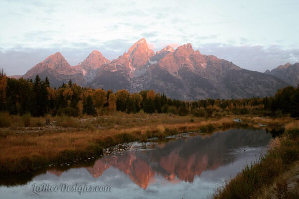 Schwabacher1